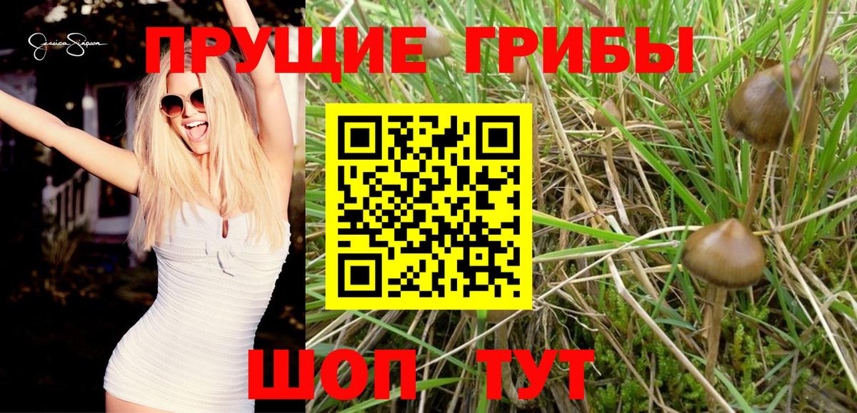 Рассказово  Галлюциногенные грибы Magic Shrooms  Вход с VPN 